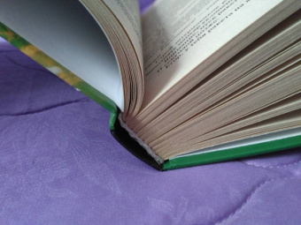 Георгий Полеводов: Штурмовой удар