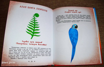 Наталия Немцова: Стражи леса. Сказки для почемучки