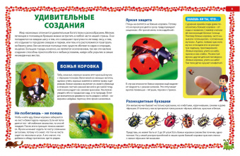 Насекомые России. Детская энциклопедия