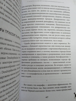 Станислав Дробышевский: Почему жирафы не стали людьми и другие вопросы эволюции