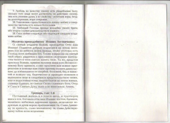 Неделя 4-я Великого Поста Преподобного Иоанна Лествичника. Слова, поучения, проповеди