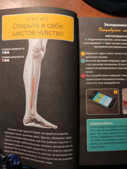 Флориан Бриан: Огурец на электрическом стуле. Опыты, заряжающие мозг