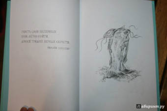 Крис Ридделл: 100 объятий