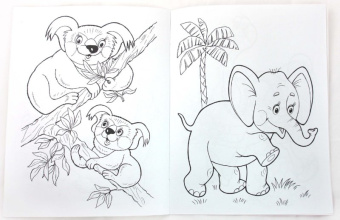 Татьяна Коваль: Живая планета