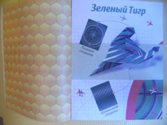 Е. Позина: Самолеты из бумаги