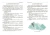 Яков Перельман: Первая сотня головоломок