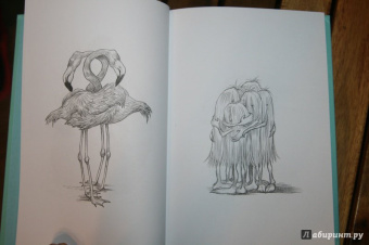 Крис Ридделл: 100 объятий