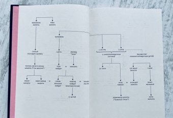 Салман Рушди: Стыд