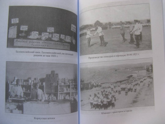 Николай Раевский: Дневник галлиполийца