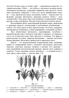 Мин Глухих: Основы агрономии. Практикум