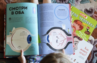 Макс Пембертон: Тело человека. Как работает наш удивительный организм