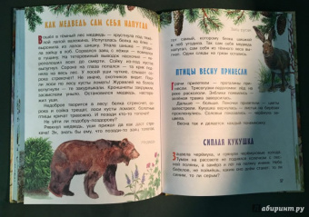 Николай Сладков: Лесные сказки