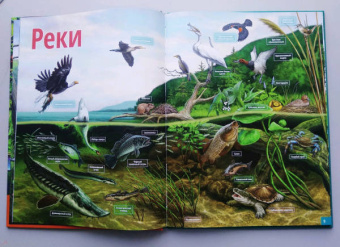 Жизнь животных. Реки и озера