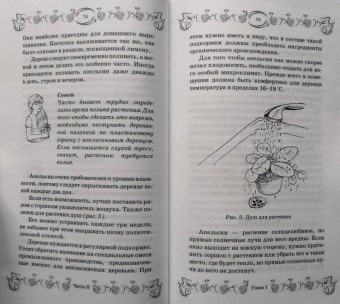 С. Калюжный: Экзотические фрукты и растения:  выращиваем дома круглый год