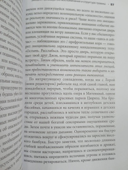 Питер Левин: Травма и память. Влияние травмирующих воспоминаний на тело и мозг