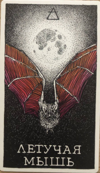 Ким Кранс: The Wild Unknown Animal Spirit. Дикое Неизвестное тотемное животное. Колода-оракул (63 карты и рук.)
