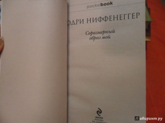 Одри Ниффенеггер: Соразмерный образ мой