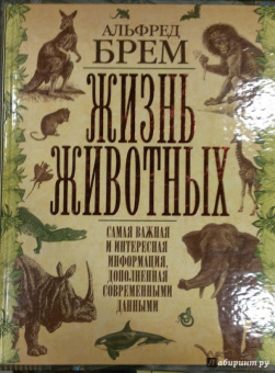 Альфред Брем: Жизнь животных. Самая важная и интересная информация, дополненная современными данными