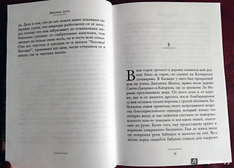 Милена Агус: Каменная болезнь. Бестолковая графиня