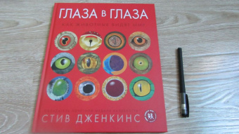 Стив Дженкинс: Глаза в глаза. Как животные видят мир