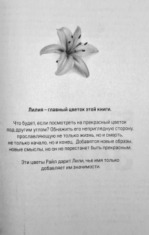 Колин Гувер: Все закончится на нас