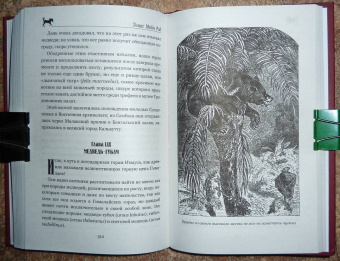 Рид Майн: Письмо и пуля