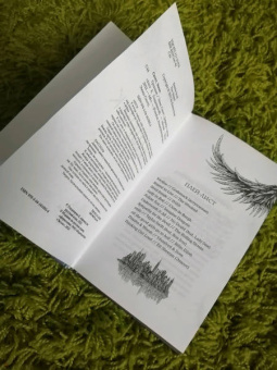 Эмма Скотт: Грешник