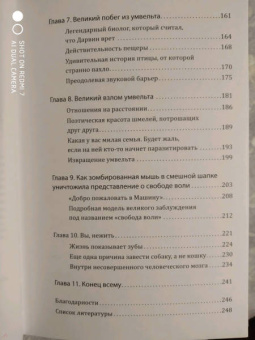 Мэтт Саймон: Трудная жизнь зомби