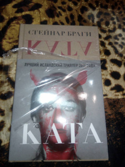 Стейнар Браги: Ката