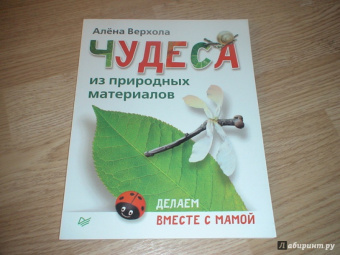 Алена Верхола: Чудеса из природных материалов. Делаем вместе с мамой