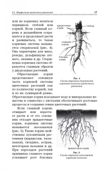 Шаламова, Крупина, Миникаев: Цветоводство. Практикум. Учебное пособие