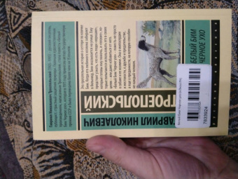 Гавриил Троепольский: Белый Бим Черное ухо