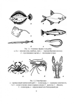 Бредихин, Ким, Ткаченко: Технологическое оборудование рыбоперерабатывающих производств. Учебник для СПО