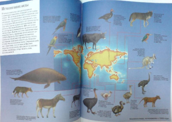 Большая детская иллюстрированная энциклопедия