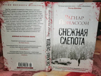 Рагнар Йонассон: Снежная слепота