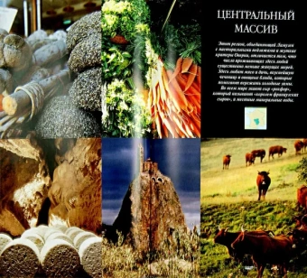 Эдвардс Наташа: Франция. Лучшие отели и рестораны