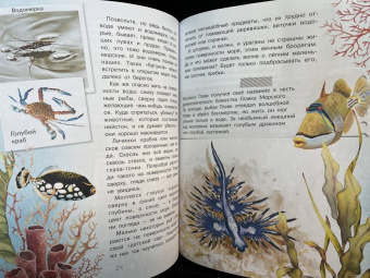 Александр Тамбиев: Как увидеть морское дно?