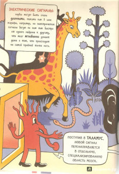 Маттео Фаринелла: Мозгоград