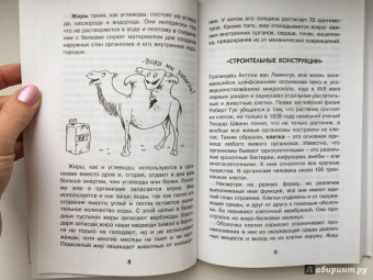 Борис Сергеев: Как устроен человек