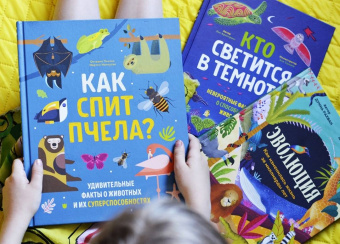 Пинтос, Ианнуззи: Как спит пчела? Удивительные факты о животных и их суперспособностях