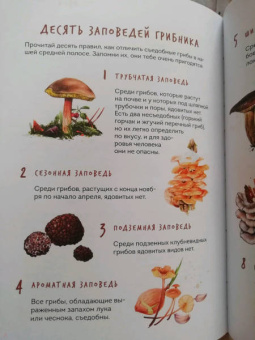 Михаил Вишневский: Грибы. Атлас-определитель