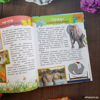 Владимир Малов: 100 тысяч зачем