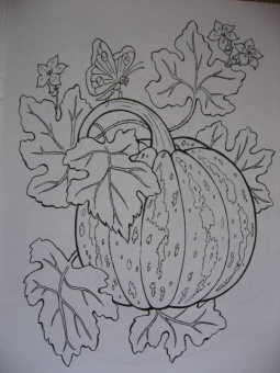 Что растет в саду