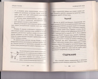 Елена Плотникова: Козы и овцы