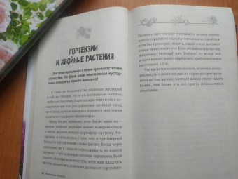Лариса Кочелаева: Энциклопедия цветовода