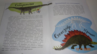 Елена Середа: Русские динозавры