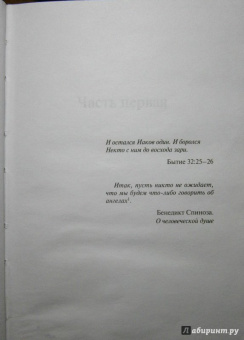 Даниэла Стил: Огни Юга