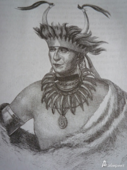 Гюстав Эмар: Великий вождь окасов. Искатель Следов. Пираты прерий. Закон Линча. Тетралогия