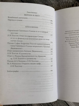 Павел Басинский: Святой против Льва. Иоанн Кронштадтский и Лев Толстой. История одной вражды