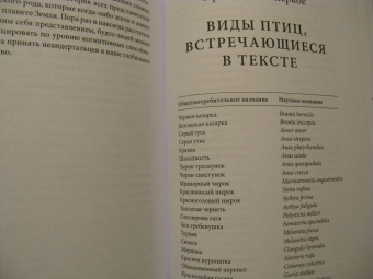 Клайв Финлейсон: Умный неандерталец. Охота на птиц, пещерное искусство и когнитивная революция